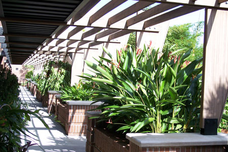 religion_building